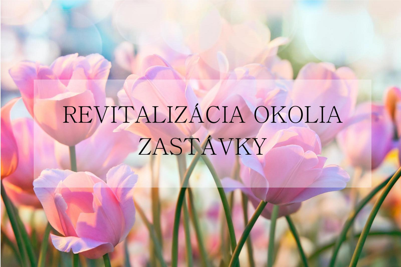 Fotogaléria Brigáda na Deň Zeme 2019 (141) Brigáda na Deň Zeme 2019